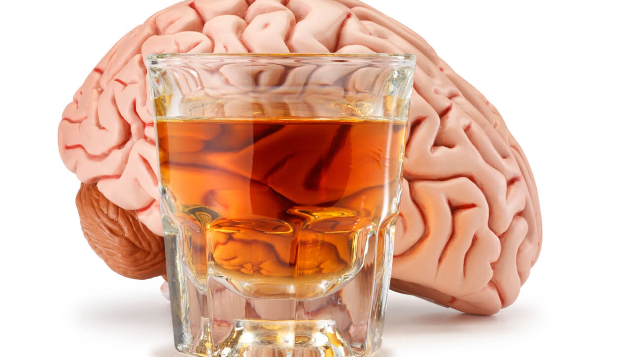 Campaña de consumo controlado de alcohol, Capítulo 2 ¿El alcohol y el cerebro?